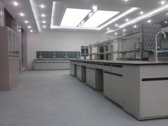 實驗室家具制造商如何創(chuàng)造優(yōu)秀的小型環(huán)境？